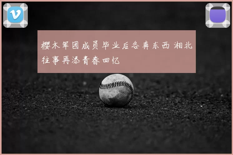 樱木军团成员毕业后各奔东西 湘北往事再添青春回忆