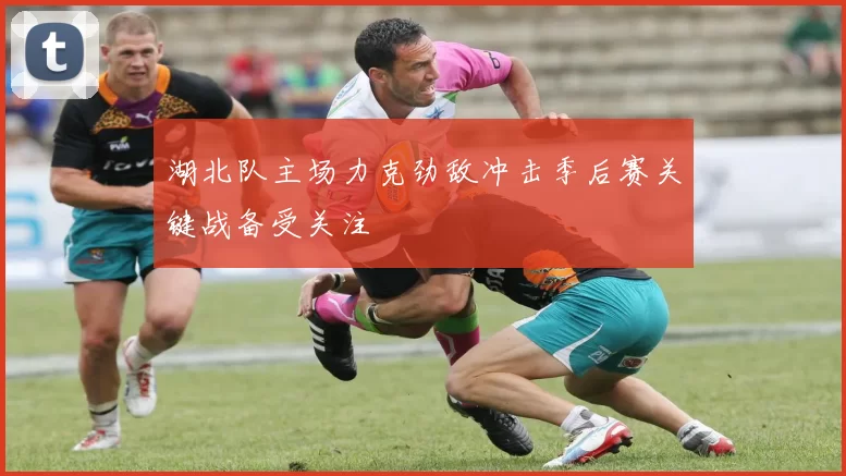 湖北队主场力克劲敌冲击季后赛关键战备受关注