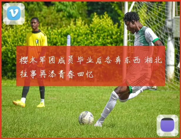 樱木军团成员毕业后各奔东西 湘北往事再添青春回忆