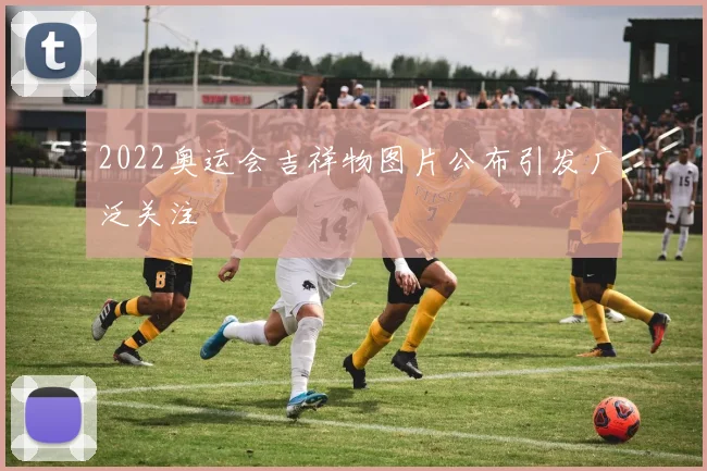 2022奥运会吉祥物图片公布引发广泛关注