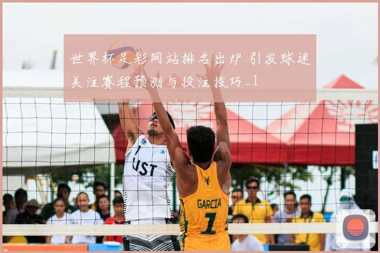 世界杯足彩网站排名出炉 引发球迷关注赛程预测与投注技巧_1
